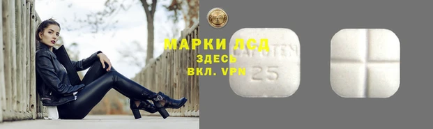 a pvp Алексин