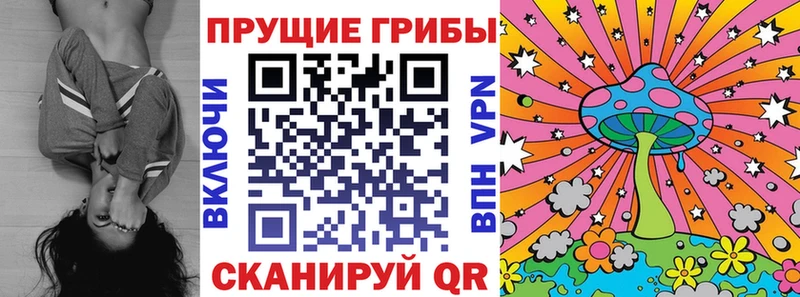 Галлюциногенные грибы MAGIC MUSHROOMS  Трубчевск 
